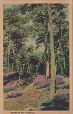 T HARDE - Bosgezicht groeten uit t Harde, Verzenden, Gelopen