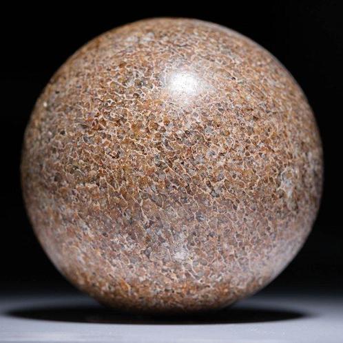 Fossiel bot van Agatized Dinosaurus Jurassic Atlas Fossiele, Verzamelen, Mineralen en Fossielen