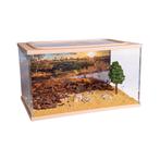 City Square BRUIN (Arena 20x13x12)