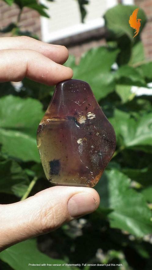 Handgeslepen Sumatra barnsteen palmsteen, Verzamelen, Mineralen en Fossielen, Mineraal, Verzenden