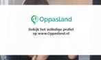 Ik ben Dominique, 19 jaar oud en ik zoek oppaswerk in Haa...
