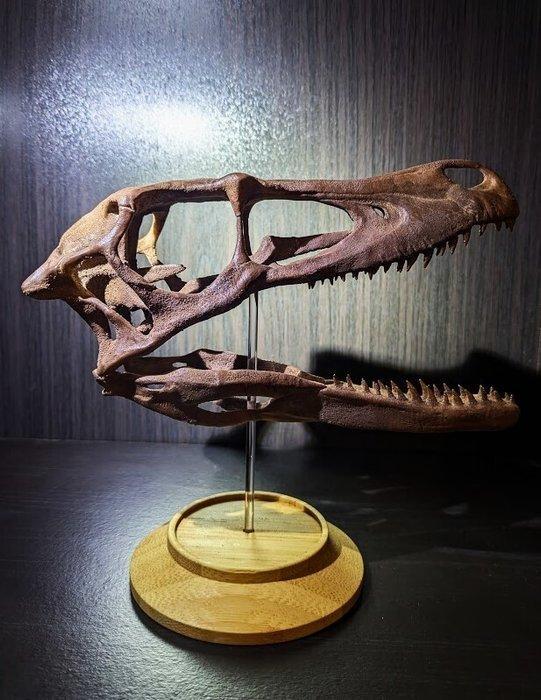 Dinosaurus - Fossiele schedel - Velociraptor mongoliensis -, Verzamelen, Mineralen en Fossielen