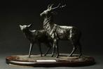 Lifelike bronze sculpture of a couple deer - Snijwerk Brons, Antiek en Kunst