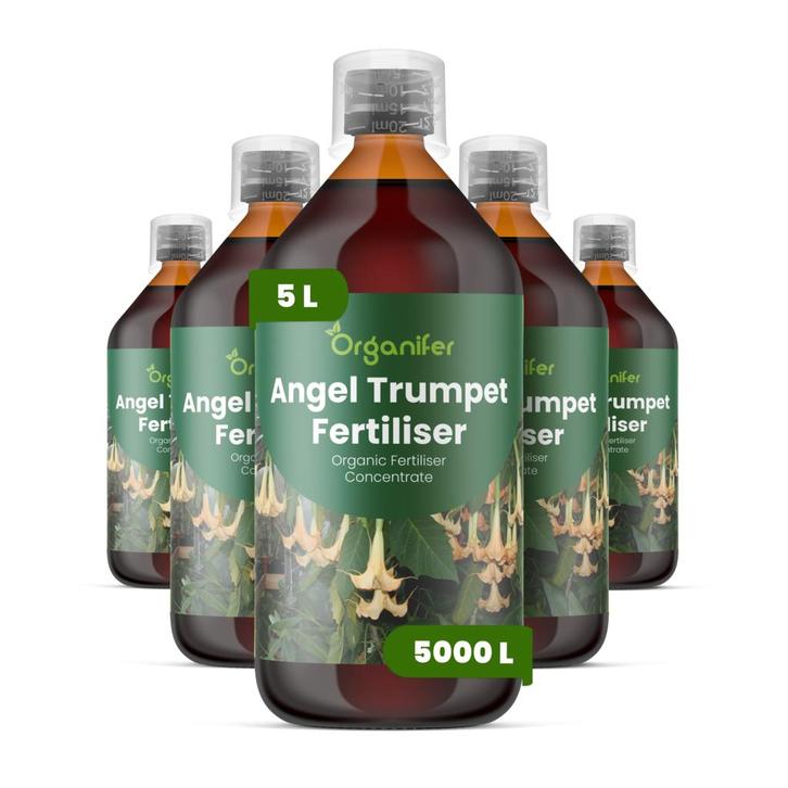 Engelentrompet Vloeibare Meststof - 5x1 Liter, Tuin en Terras, Aarde en Mest, Mest, Verzenden