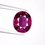 Zonder Minimumprijs Granaat - 3.07 ct - International, Nieuw