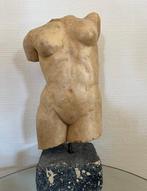 sculptuur, Torso der Venus - 7,6 kg - 41 cm - Klei - 1996