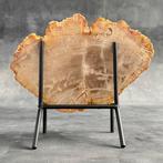 Schitterende plak petrified hout op een op maat gemaakte, Antiek en Kunst