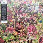 lp nieuw - Giant Sand - Returns To Valley Of Rain, Cd's en Dvd's, Zo goed als nieuw, Verzenden