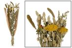 Dried flower bouquet - Multi Boeket in krafthoes, Nieuw, Ophalen of Verzenden