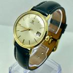 Omega - Seamaster - Zonder Minimumprijs - 135.020 SP - Heren, Nieuw