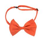 Vlinderdas voor kinderen of volwassenen oranje, Verzenden, Nieuw, Feestartikel, Oranje of Koningsdag