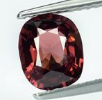 Zonder Minimumprijs Spinel - 1.29 ct - Gem Report Antwerp, Nieuw