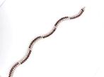 Armband - 18 karaat Witgoud - 9.00ct. tw. Robijn - Diamant, Sieraden, Tassen en Uiterlijk, Armbanden, Nieuw