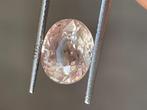 1 pcs Oranje Saffier - 4.94 ct, Sieraden, Tassen en Uiterlijk, Edelstenen, Nieuw