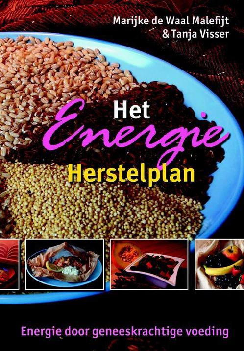 Het energie herstelplan 9789063787691 T. Visser, Boeken, Kookboeken, Zo goed als nieuw, Verzenden