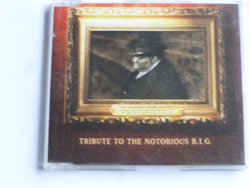 Tribute to the Notorious B.I.G (CD Single), Cd's en Dvd's, Cd Singles, Verzenden