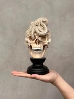 Geen minimumprijs - Tamarindehouten schedel met