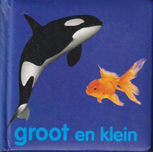 Groot en klein 9789039625316, Boeken, Overige Boeken, Gelezen, Verzenden
