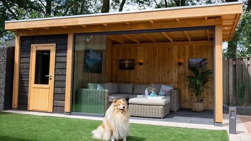 Douglas plat dak met schuur 600x300cm Ameland, Tuin en Terras, Overkappingen, Ophalen of Verzenden