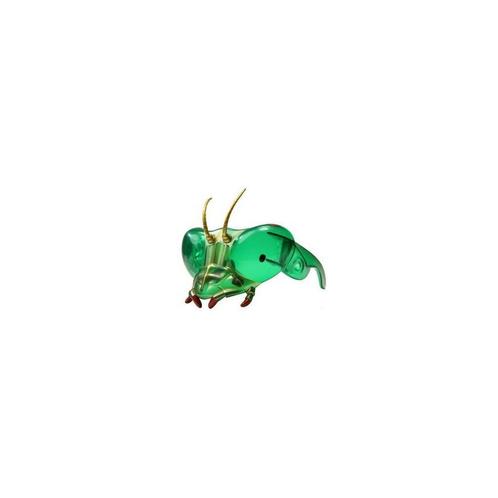Bidsprinkhaan Masker, Dieren en Toebehoren, Insecten en Spinnen