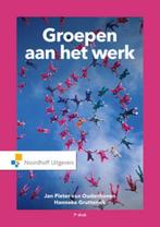 Groepen aan het werk 9789001846251 Jan Pieter van Oudenhoven, Boeken, Verzenden, Zo goed als nieuw, Jan Pieter van Oudenhoven