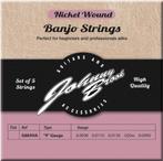 Banjo snaren nickel wound 009, Muziek en Instrumenten, Instrumenten | Toebehoren, Nieuw, Verzenden