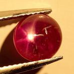 Sterrobijn - 2.80 ct - Lotus Gemology, Nieuw