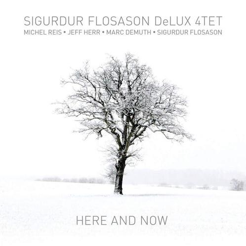 cd - Sigurdur Flosason DeLUX 4TET - Here And Now, Cd's en Dvd's, Cd's | Overige Cd's, Zo goed als nieuw, Verzenden