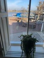 Te huur: Appartement Vismarkt in Nijmegen, Huizen en Kamers, Gelderland, Nijmegen, Appartement