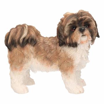 Beeldje schoothondje Shih Tzu bruin/wit11 cm - Beeldjes