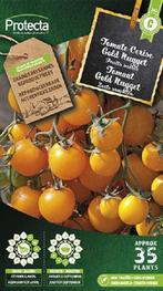 Protecta Groente zaden: Tomaat Gold Nugget, Ophalen of Verzenden