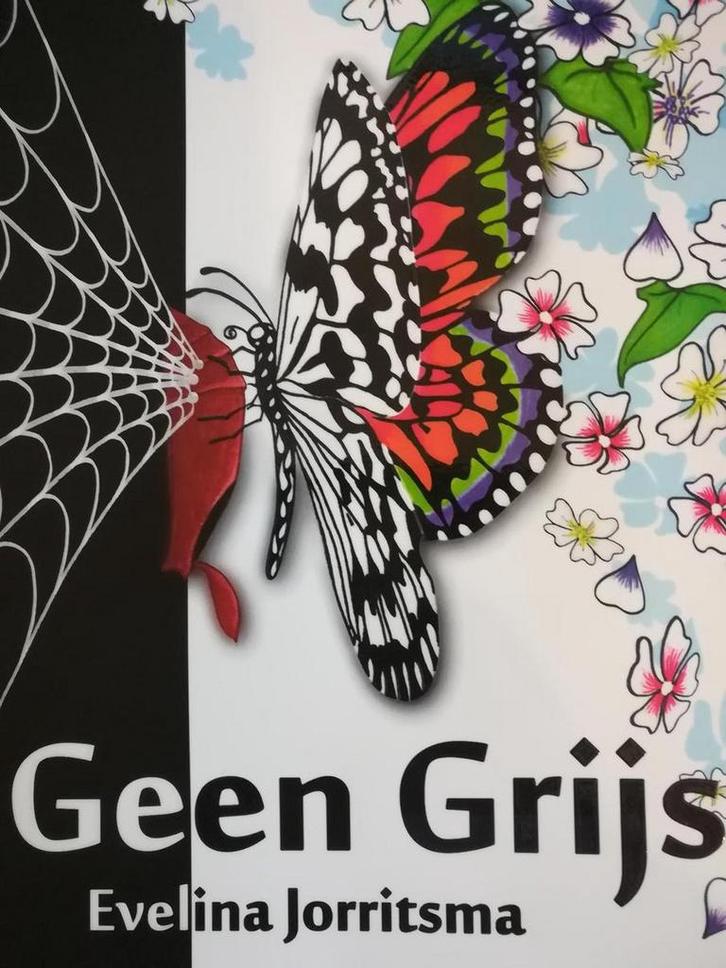 Geen Grijs 9789082464139 evelina johanna christina jorritsma, Boeken, Hobby en Vrije tijd, Gelezen, Verzenden