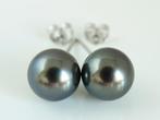 Oorstekers - 14 karaat Witgoud Parel - Donkerblauwgroen,