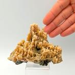 ARAGONITE ALPINA Stalattitica, Italië Kristallen op matrix -
