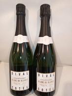 Ayala, Dival cotel - Champagne Blanc de Blancs - 2 Fles, Nieuw