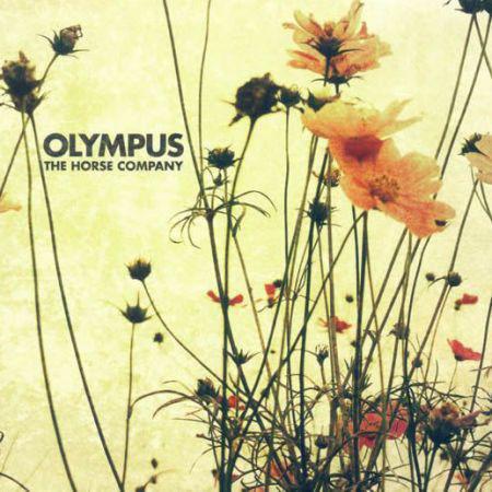 cd digi - The Horse Company - Olympus, Cd's en Dvd's, Cd's | Rock, Zo goed als nieuw, Verzenden