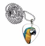 Plectrum ketting of sleutelhanger van een Papegaai, Ophalen of Verzenden, Nieuw