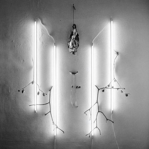 lp nieuw - Alkerdeel -, Cd's en Dvd's, Vinyl | Rock, Zo goed als nieuw, Verzenden