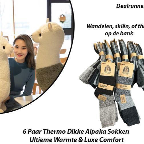 6 Paar Thermo Dikke Alpaka Sokken, Kleding | Heren, Sokken en Kousen, Nieuw, Verzenden