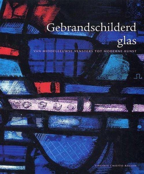 Gebrandschilderd glas 9789059470781 Algemeen, Boeken, Overige Boeken, Gelezen, Verzenden