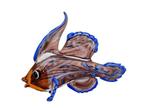 Beeldje - Mandarin fish - Glas