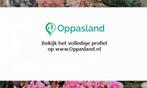 Ik ben Amanda, 21 jaar oud en ik zoek oppaswerk in Helmond., Nieuw