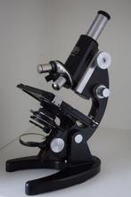 Simple microscope - Nr. 256740 - 1930-1940 - Carl Zeiss Jena