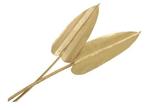 Palm Arrow 25- Goud Gold wash Palm blad, Ophalen of Verzenden, Nieuw