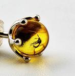 Authentieke 45-Miljoen-Jaar Oude BALTISCHE AMBER Oorbellen –