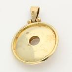 Hanger - 14 karaat Geel goud - Maansteen