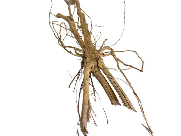 Driftwood Selected  DW49 - 65x30x28cm (Small drift wood), Dieren en Toebehoren, Vissen | Aquaria en Toebehoren, Plant(en), Steen of Hout