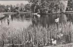 HOOGEZAND - Oosterpark, Verzamelen, Ansichtkaarten | Nederland, Verzenden, Gelopen