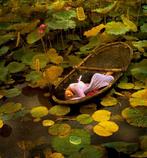 Viet Ha Tran - The Golden Lotus Lake - 197th Annual