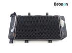 Radiateur Yamaha TDM 900 (TDM900), Verzenden, Gebruikt